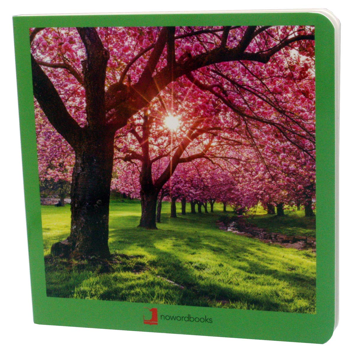 Libro: Primavera (Mis primeras Imágenes)