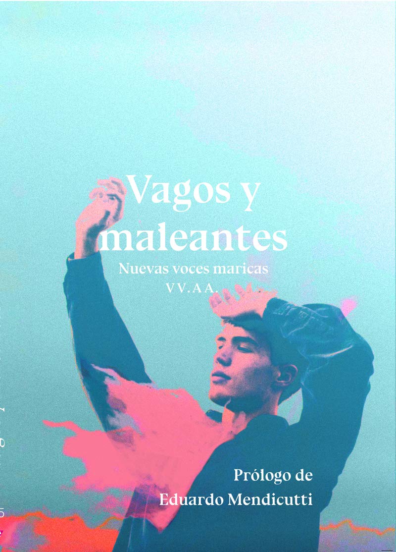 Libro: VAGOS Y MALEANTES NUEVAS VOCES MARICAS