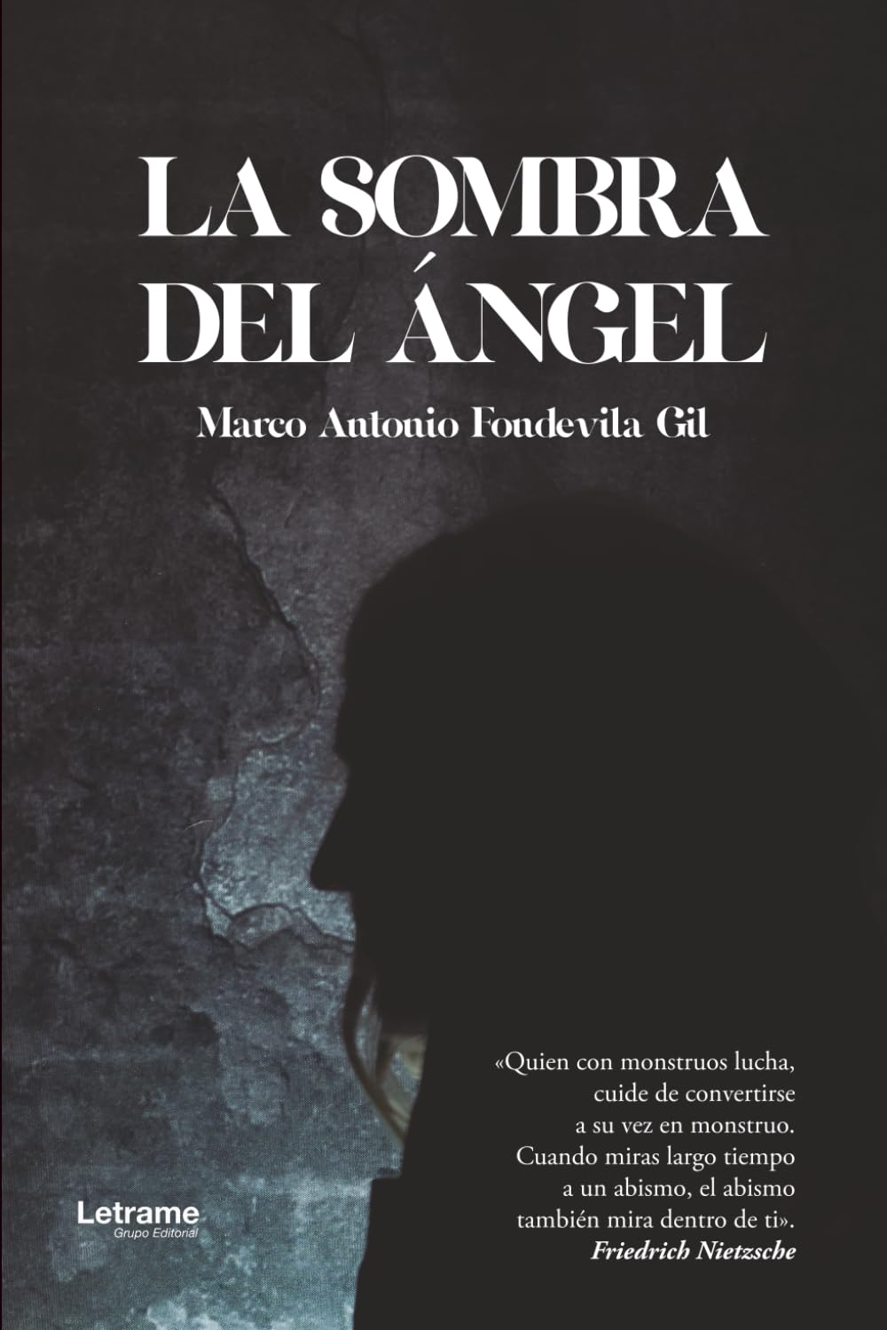 Libro: La sombra del ángel