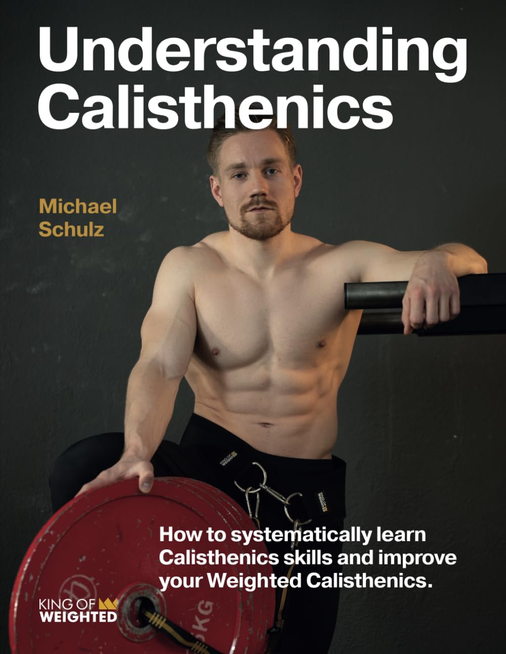 Libro: Understanding Calisthenics: How to systematically learn calisthenics skills and improve your weighted calisthenics