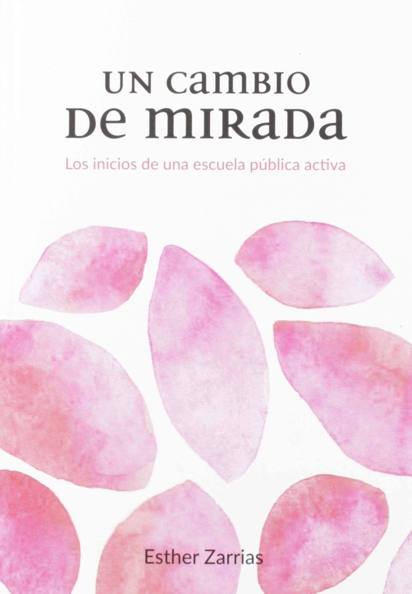 Libro: Un cambio de mirada: Los inicios de una escuela pública activa (SIN COLECCION)
