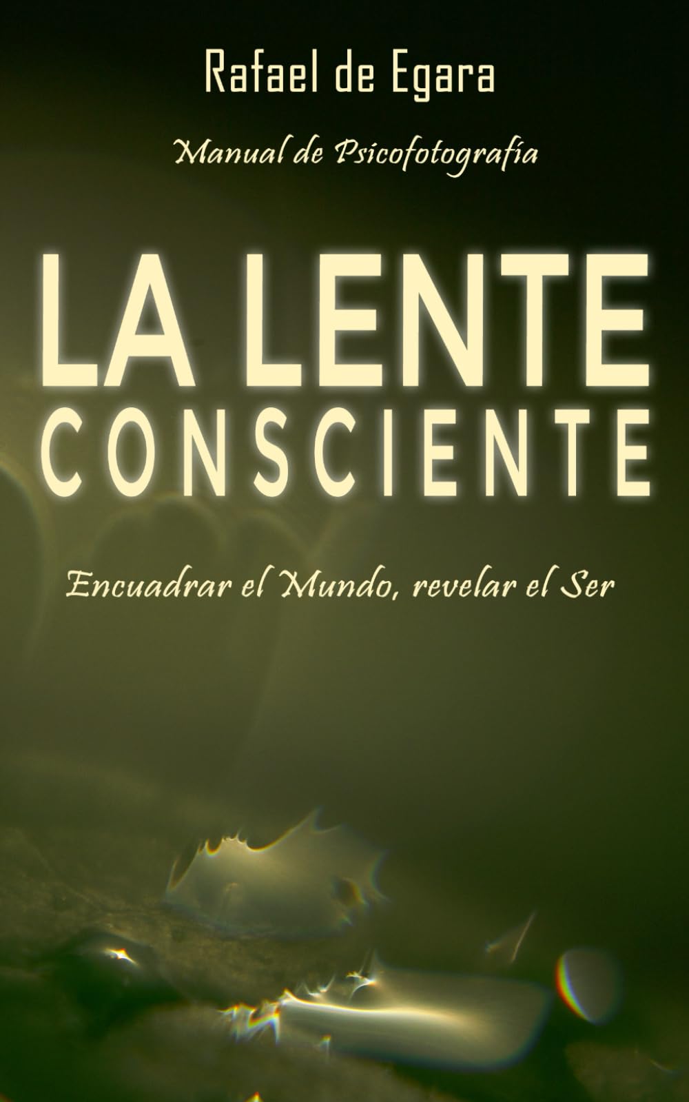 Libro: LA LENTE CONSCIENTE: Encuadrar el Mundo, revelar el Ser (Comprehensiones del Corazón)