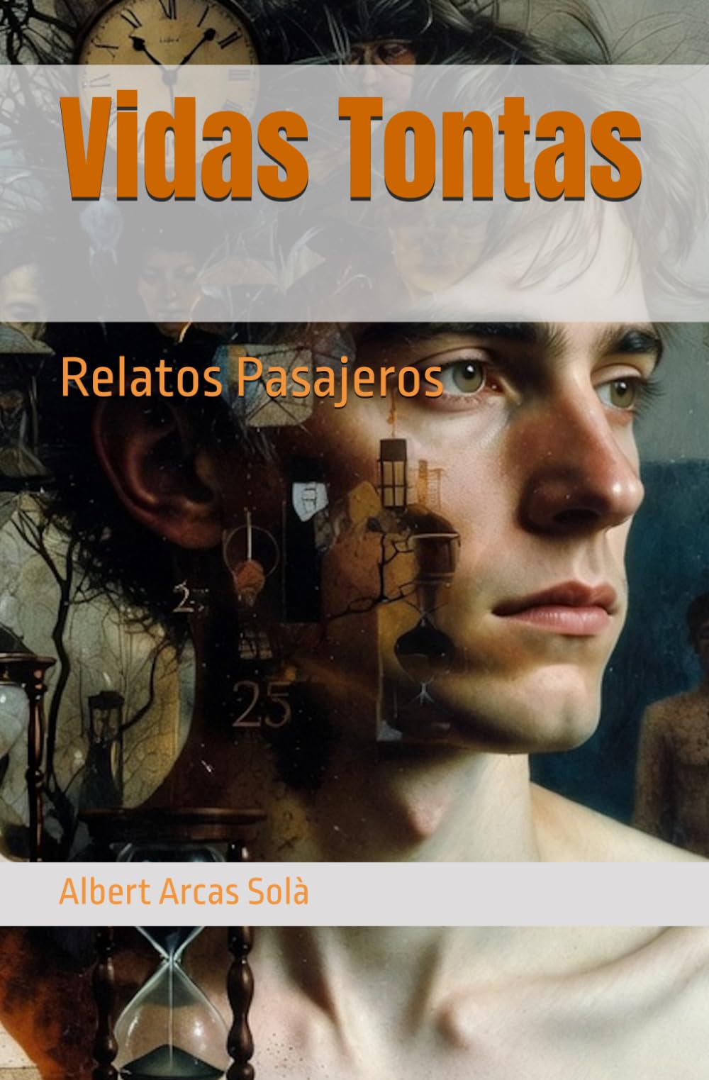 Libro: Vidas Tontas: Relatos Pasajeros