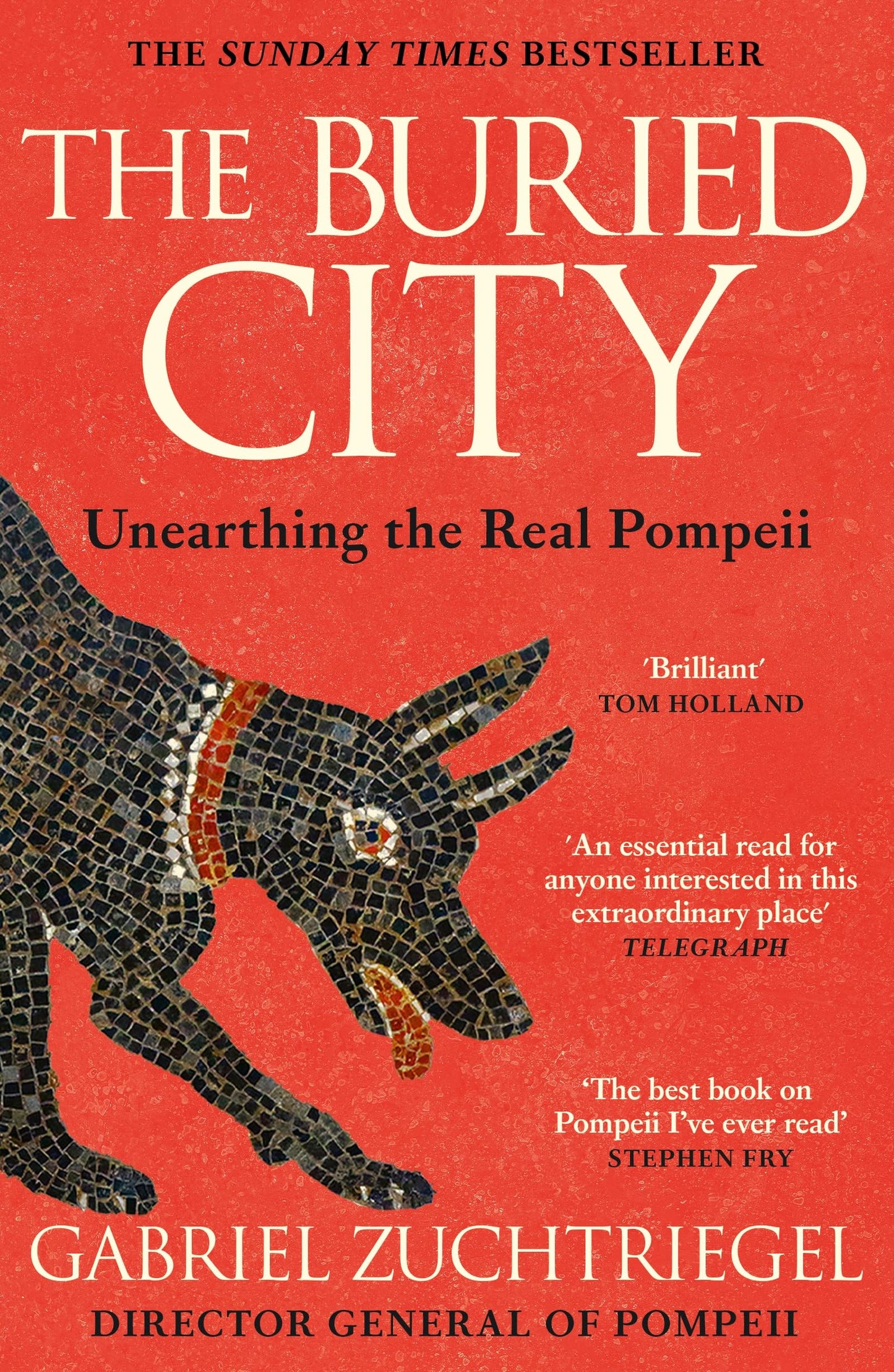 Libro: The Buried City: The Revelatory New History from the Director of Pompeii - a Sunday Times Bestseller