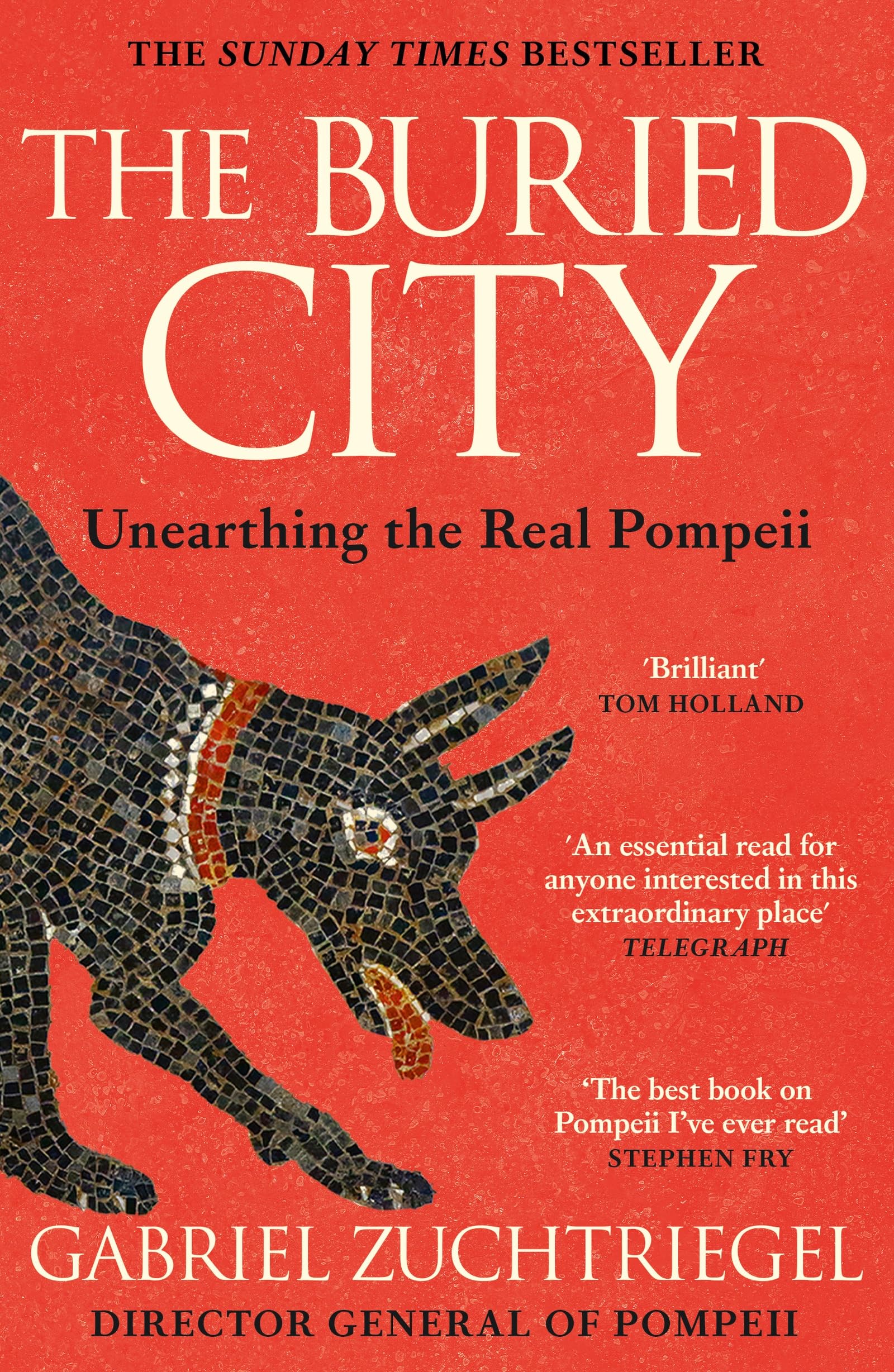 Libro: The Buried City: The Revelatory New History from the Director of Pompeii - a Sunday Times Bestseller