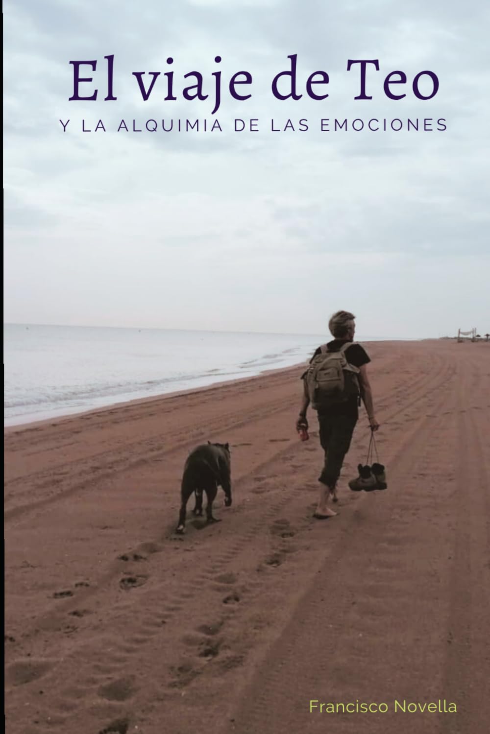 Libro: El Viaje de Teo y la Alquimia de las Emociones (Spanish Edition)