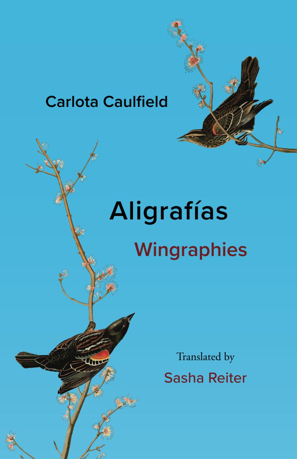 Libro: ALIGRAFIAS / WINGRAPHIES