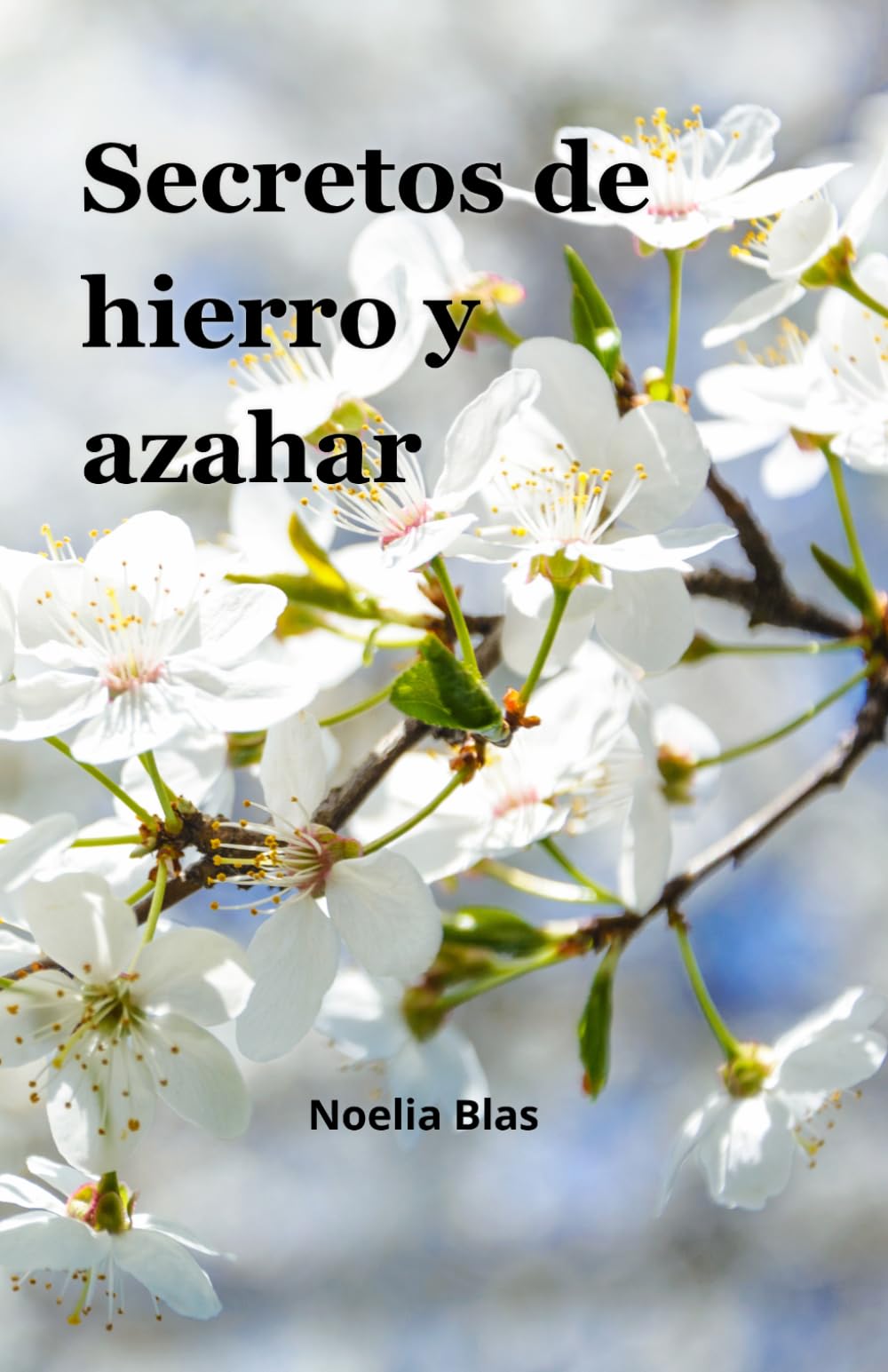 Libro: Secretos de hierro y azahar
