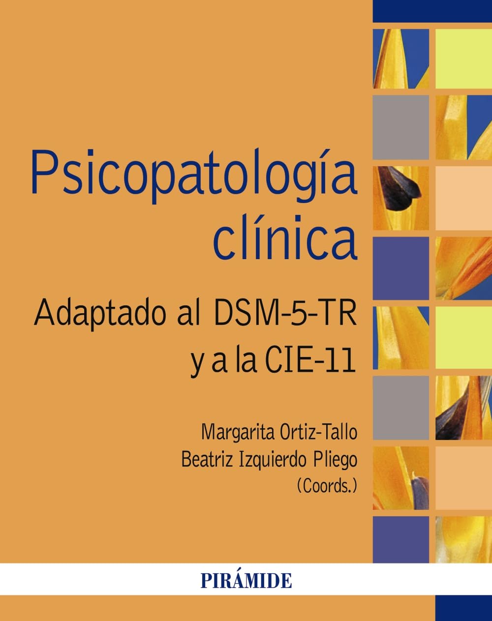 Libro: Psicopatología clínica: Adaptado al DSM-5-TR y a la CIE-11