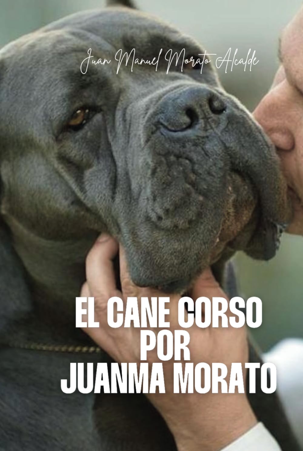 Libro: El Cane Corso Por Juanma Morato (Spanish Edition)
