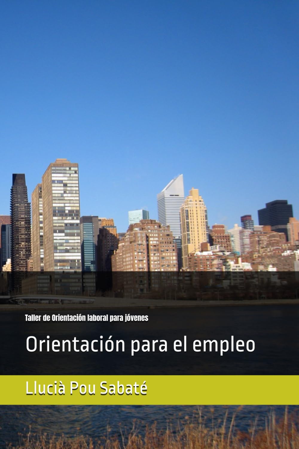 Libro: Taller de Orientación laboral para jóvenes (40 horas): Orientación para el empleo