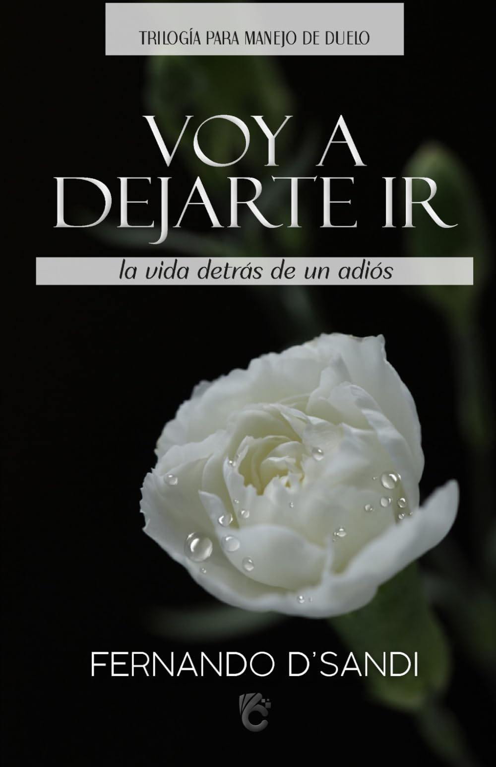 Libro: VOY A DEJARTE IR: La vida detrás de un adiós (Spanish Edition)