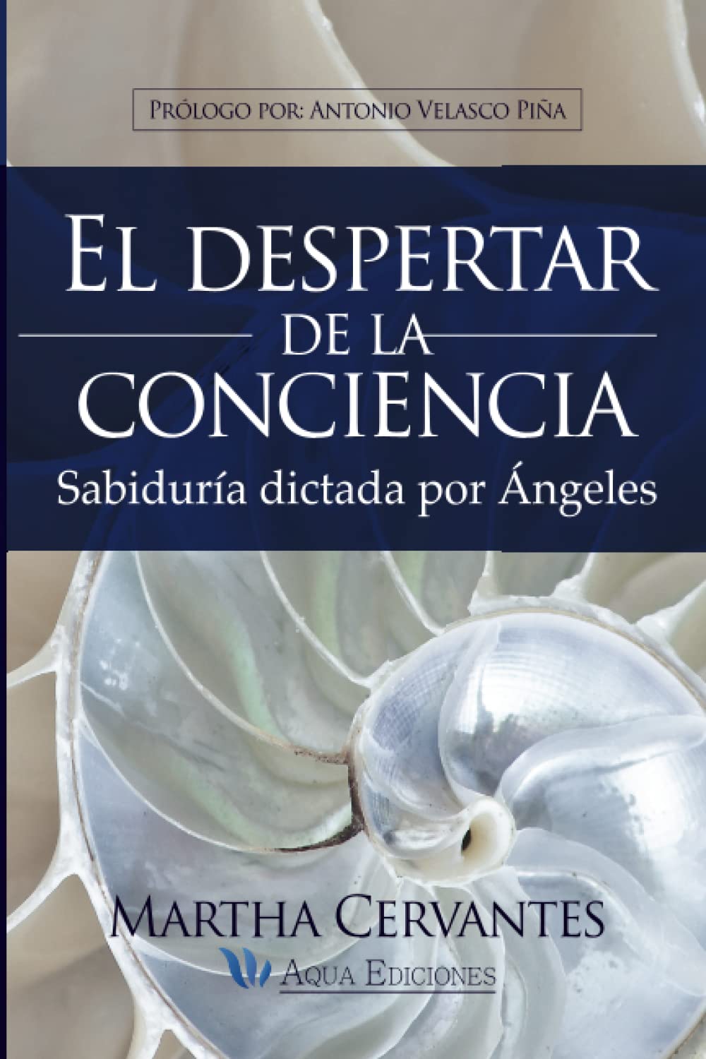 Libro: El despertar de la conciencia: Sabiduría dictada por Ángeles