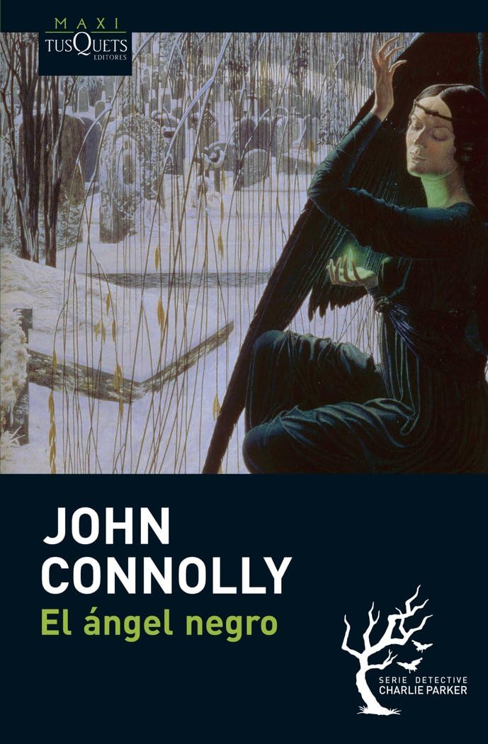 Libro: El ángel negro (Spanish Edition)