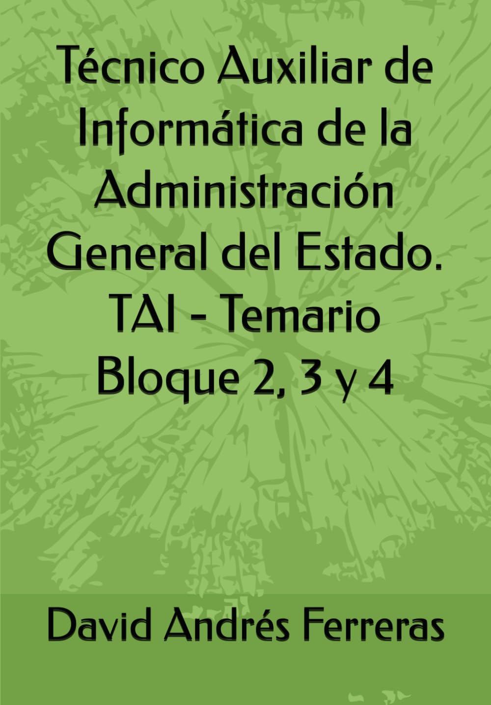 Libro: Técnico Auxiliar de Informática de la Administración General del Estado. TAI - Temario Bloque 2, 3 y 4 (Spanish Edition)