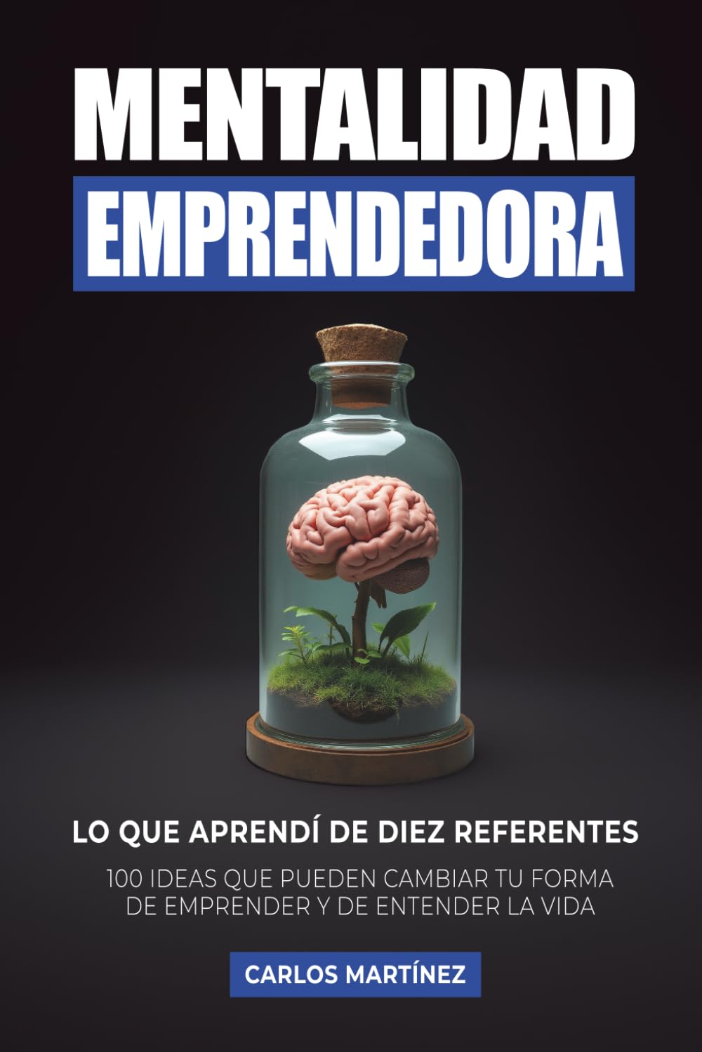 Libro: Mentalidad Emprendedora: 100 ideas que pueden cambiar tu forma de emprender y de entender la vida