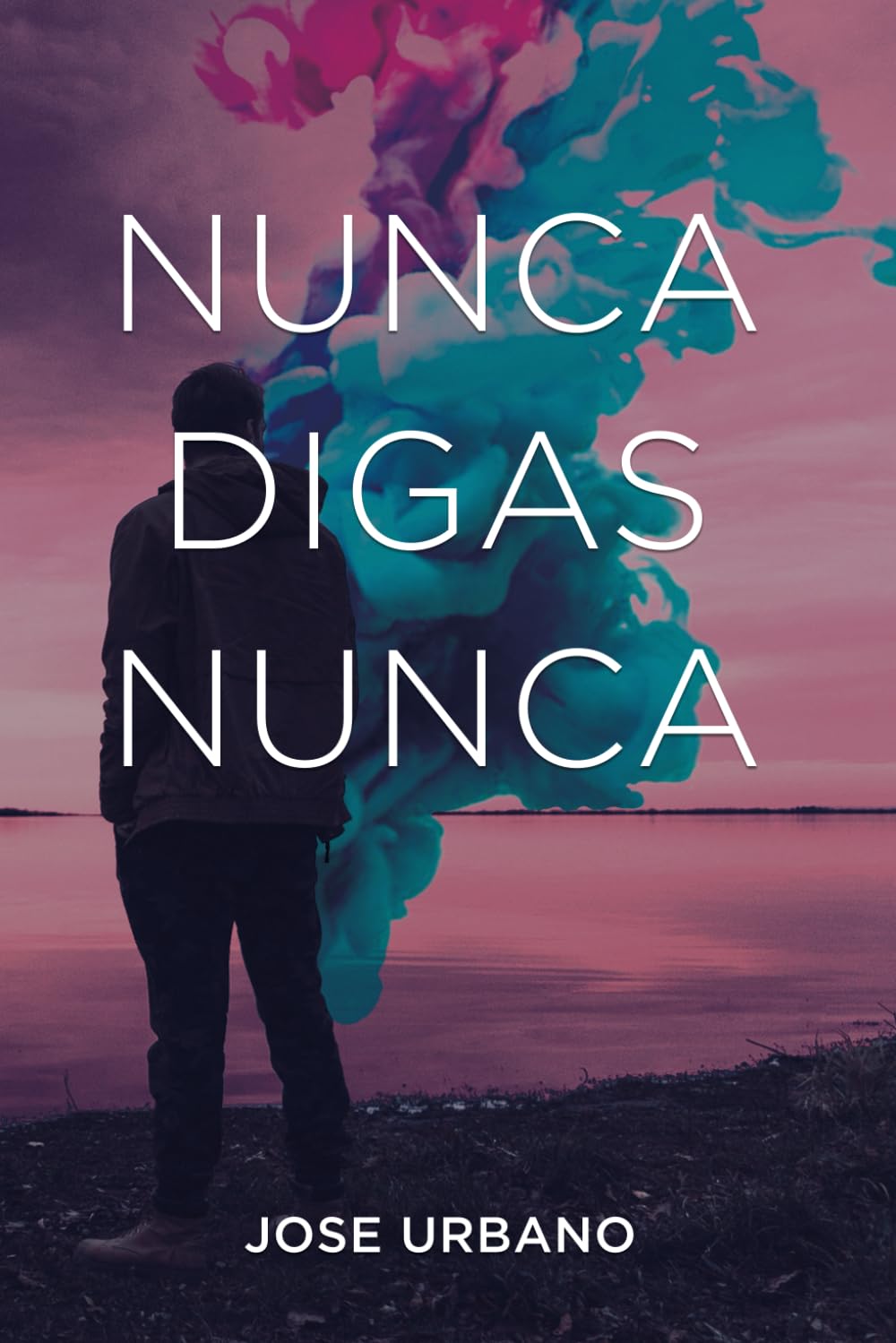 Libro: Nunca Digas Nunca (Trilogía Nunca Digas Nunca)