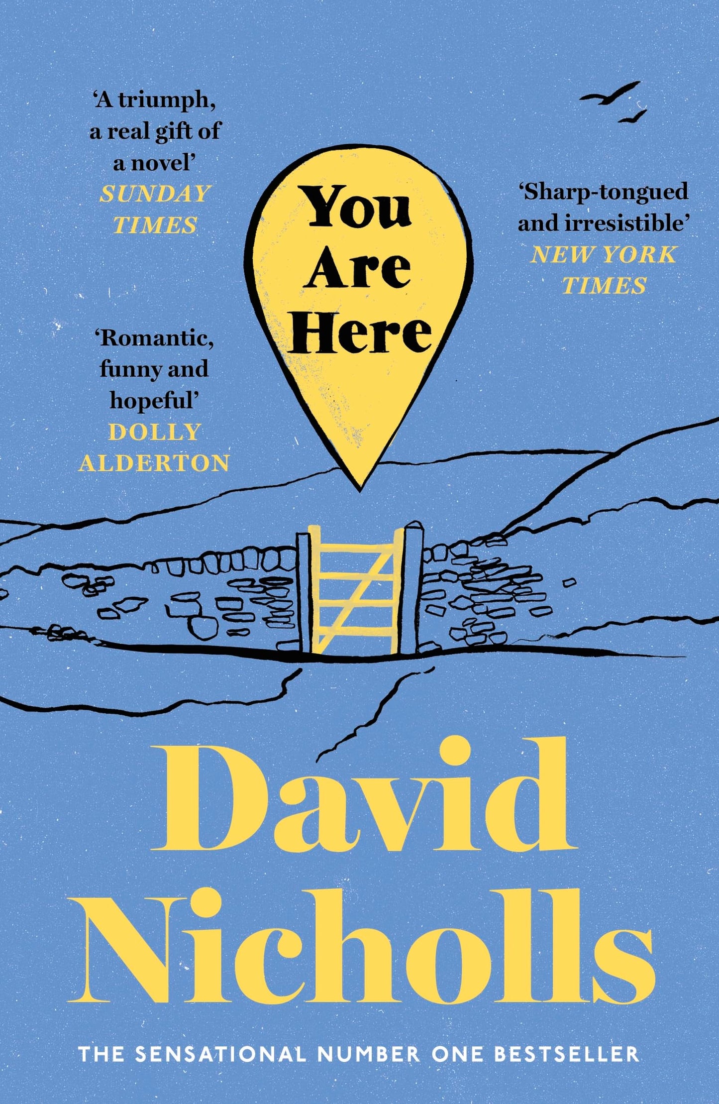 Libro: You are here