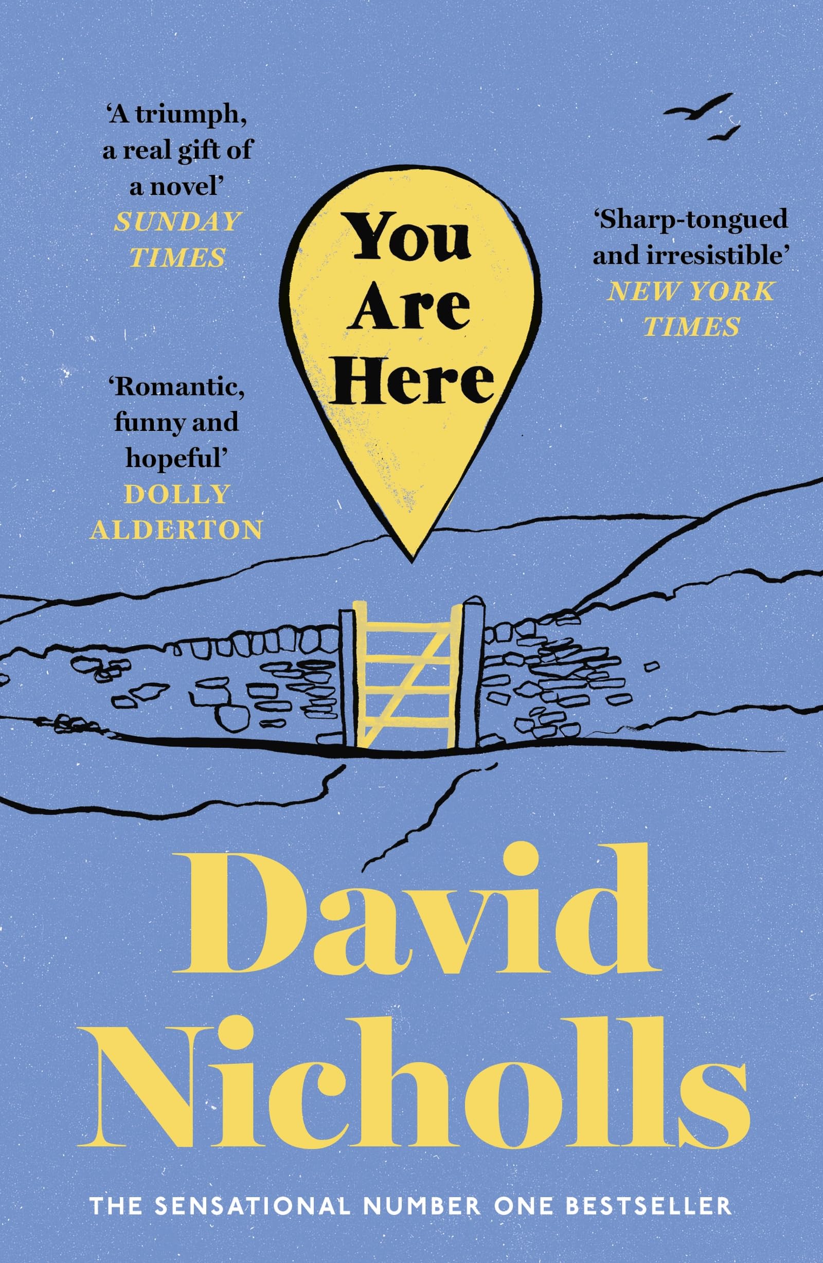 Libro: You are here