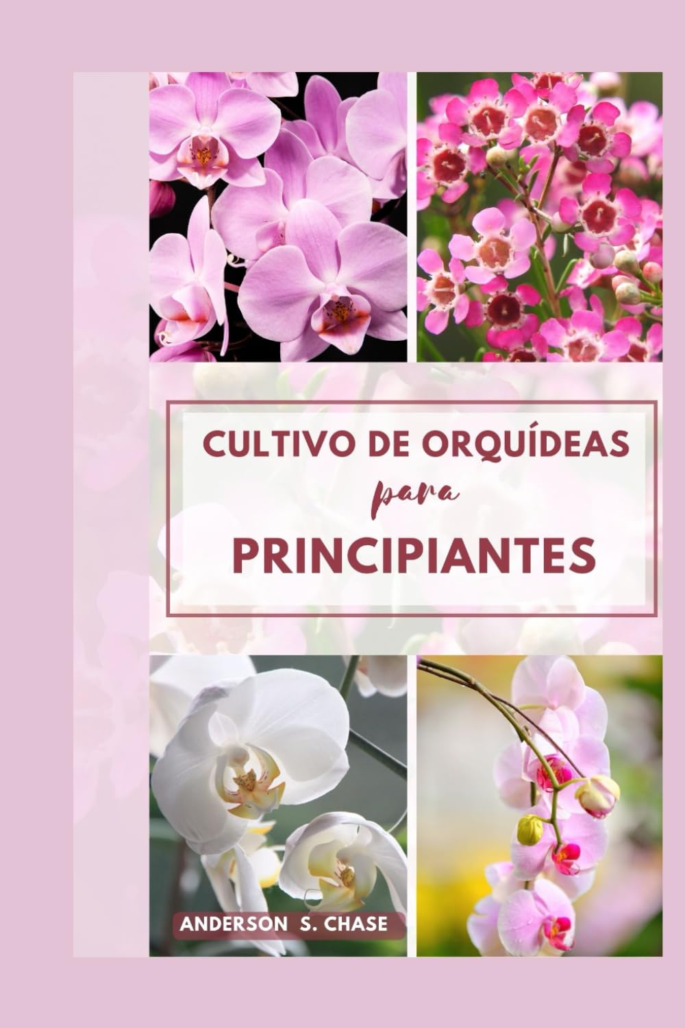 Libro: Cultivo de orquídeas para principiantes: Fácilpaso A Paso Gramoguía Sobre Cómo Crecery Cuidado Para Orquídeas En (Spanish Edition)