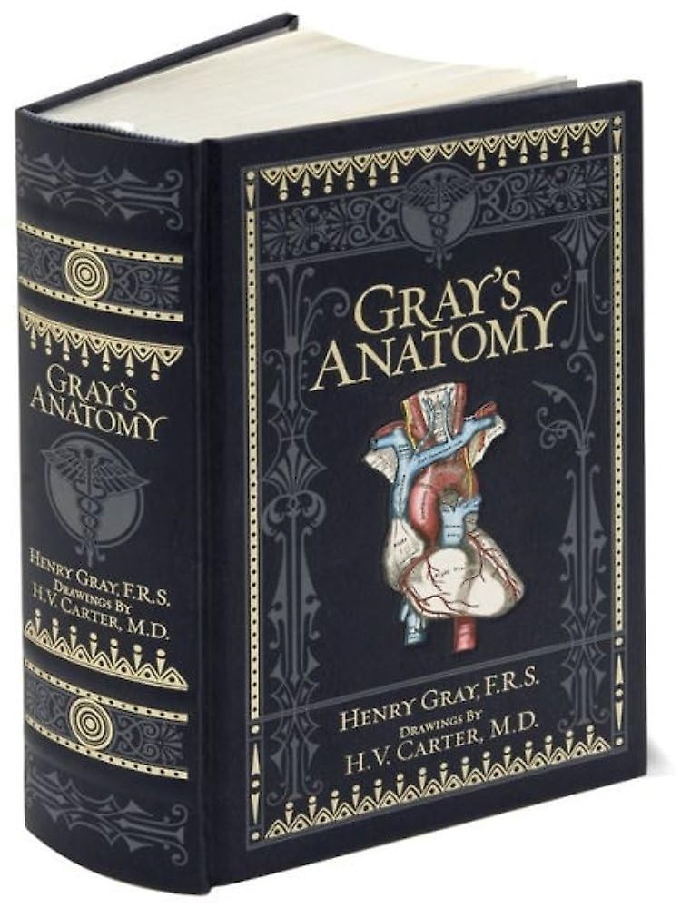 Libro: Gray's Anatomy: Barnes & Noble Leatherbound Classic Collection (Barnes & Noble Collectible Editions)