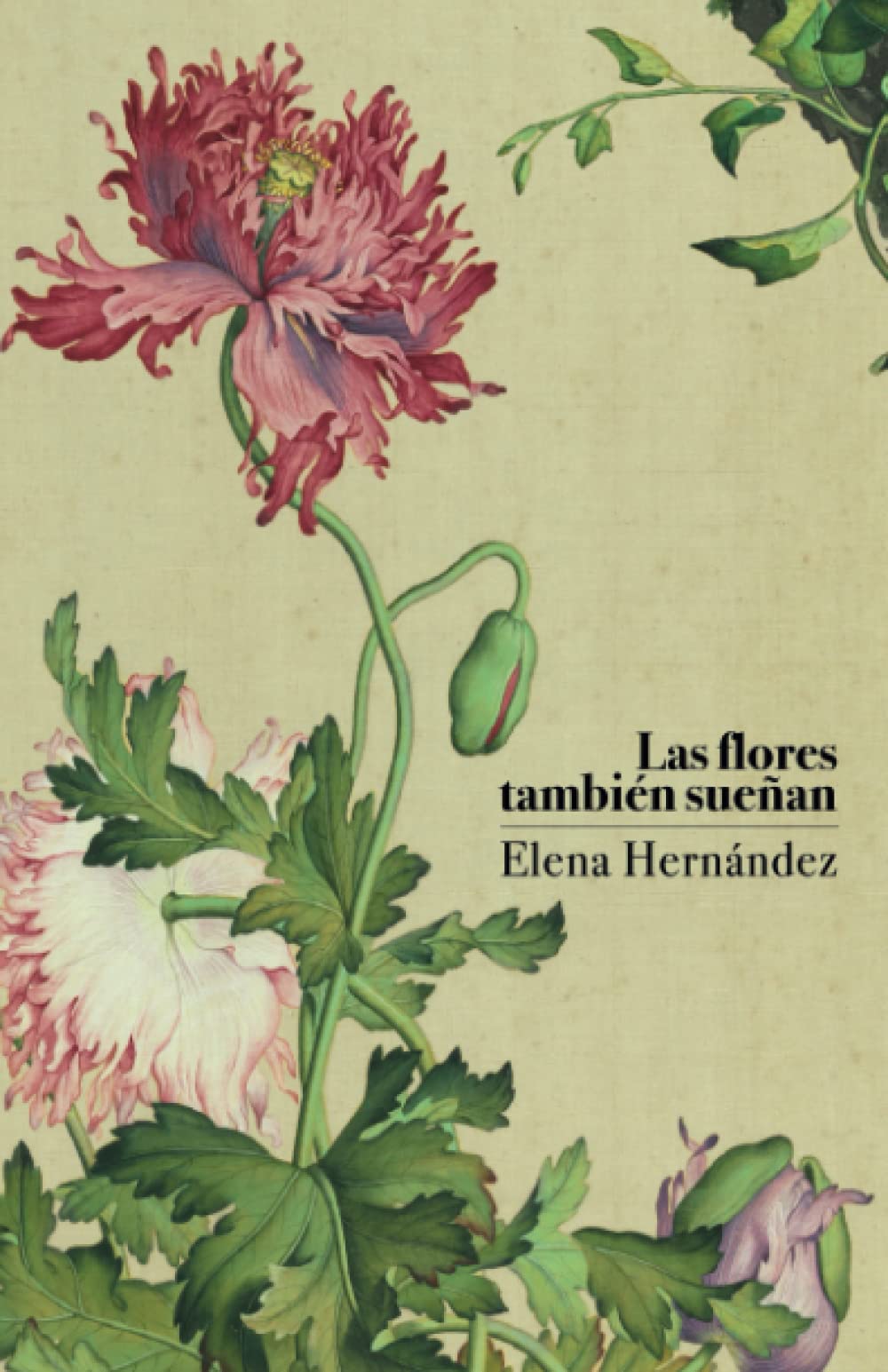 Libro: Las flores también sueñan: Libro de relatos contemporáneos (Spanish Edition)