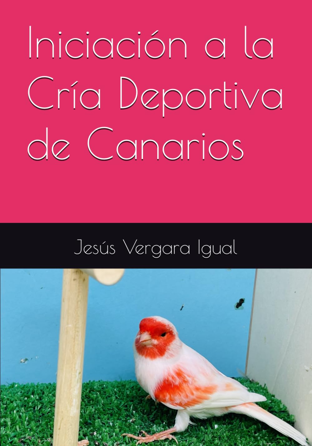 Libro: Iniciación a la Cría Deportiva de Canarios (Spanish Edition)