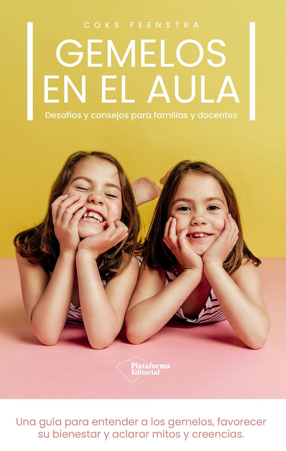 Libro: Gemelos en el aula: Desafíos y consejos para familias y docentes