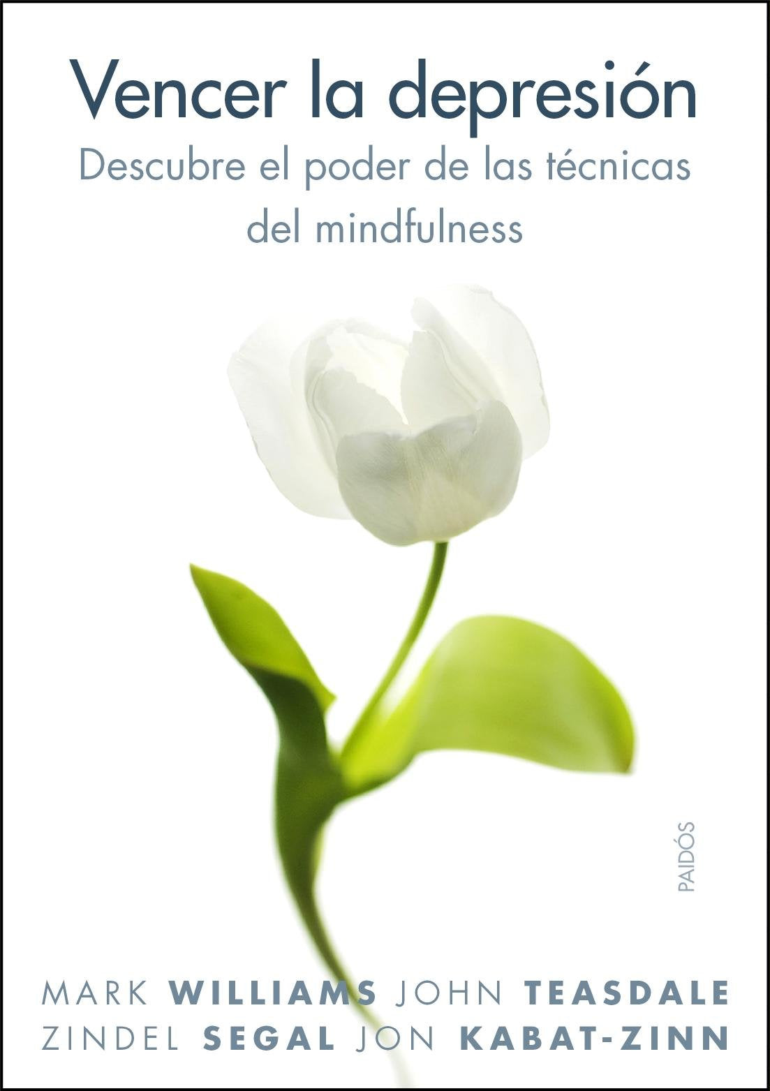Libro: Vencer la depresión: Descubre el poder de las técnicas del mindfulness