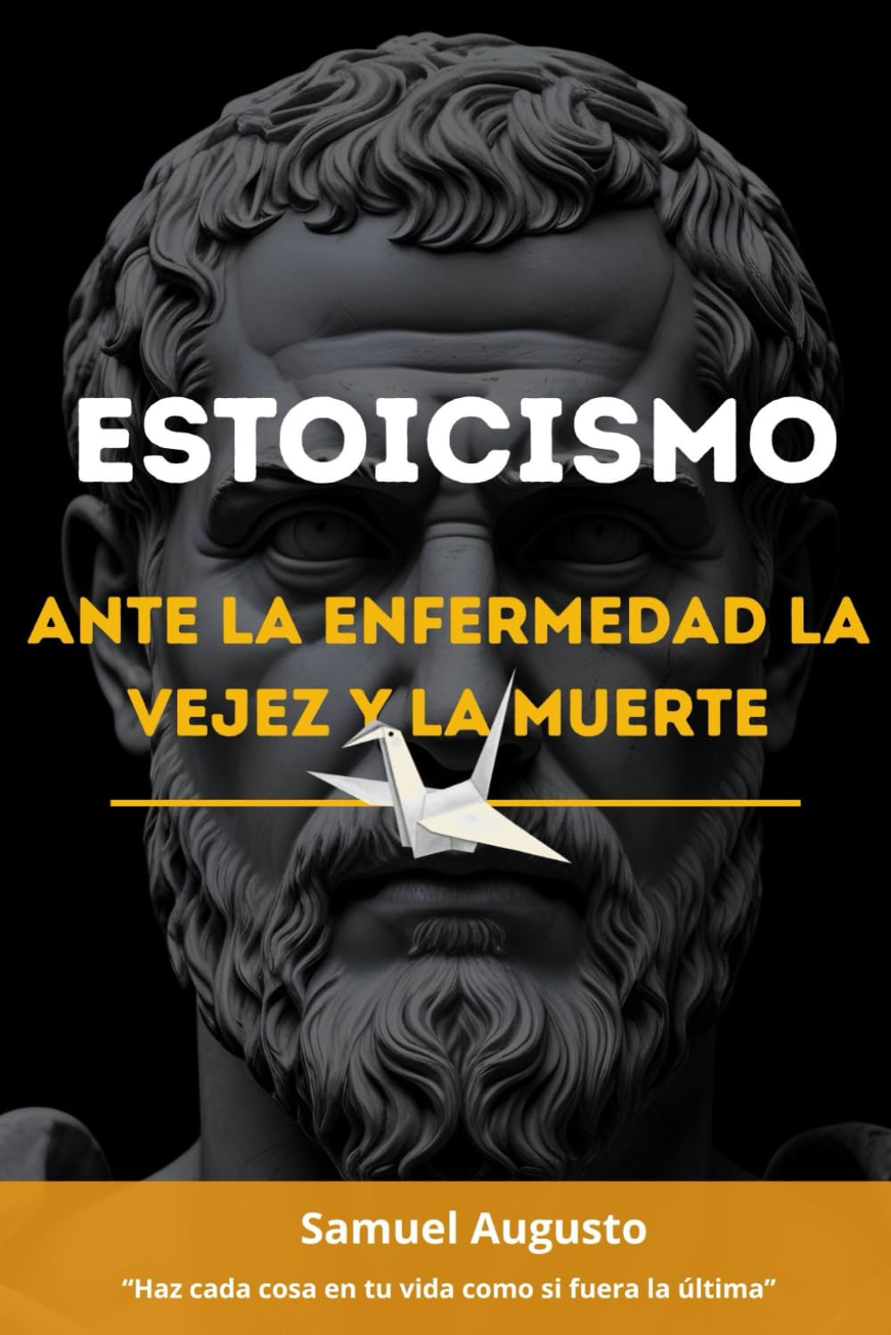Libro: ESTOICISMO ANTE LA ENFERMEDAD, LA VEJEZ Y LA MUERTE: Una guía estoica desde la sabiduría y las meditaciones de Marco Aurelio sobre memento mori