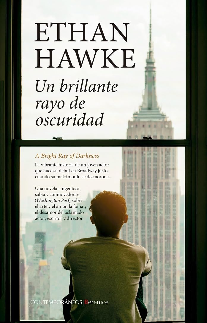 Libro: Un brillante rayo de oscuridad (Contemporáneos)