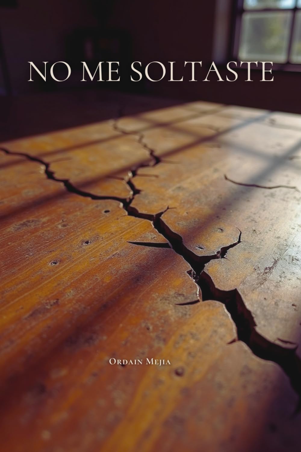 Libro: NO ME SOLTASTE: Un proceso de fe en medio del cansancio, la duda y el silencio (Spanish Edition)