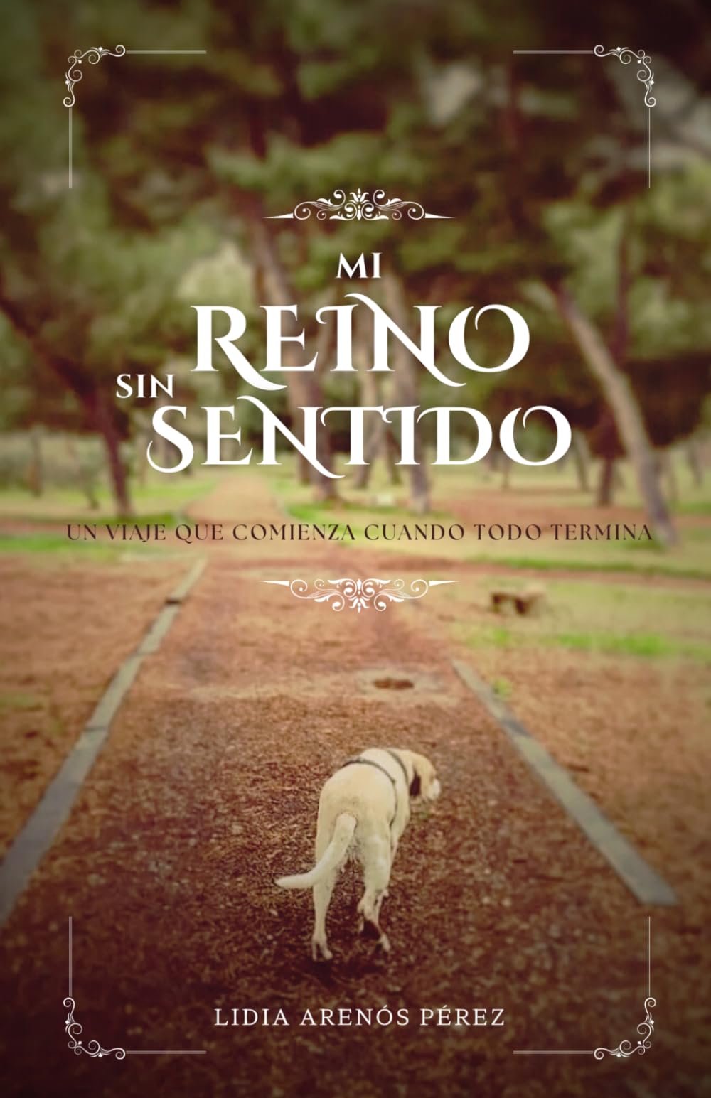 Libro: Mi reino sin sentido: El viaje que comienza cuando todo termina (Spanish Edition)
