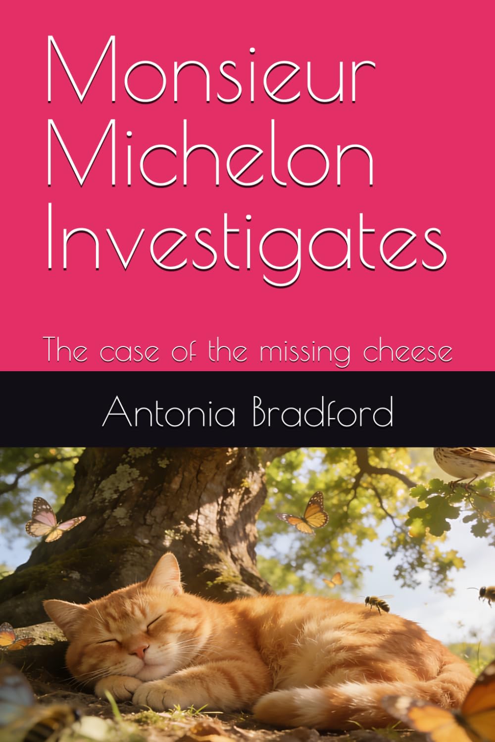 Libro: Monsieur Michelon Investigates: The case of the missing cheese (The casebook of Monsieur Michelon)