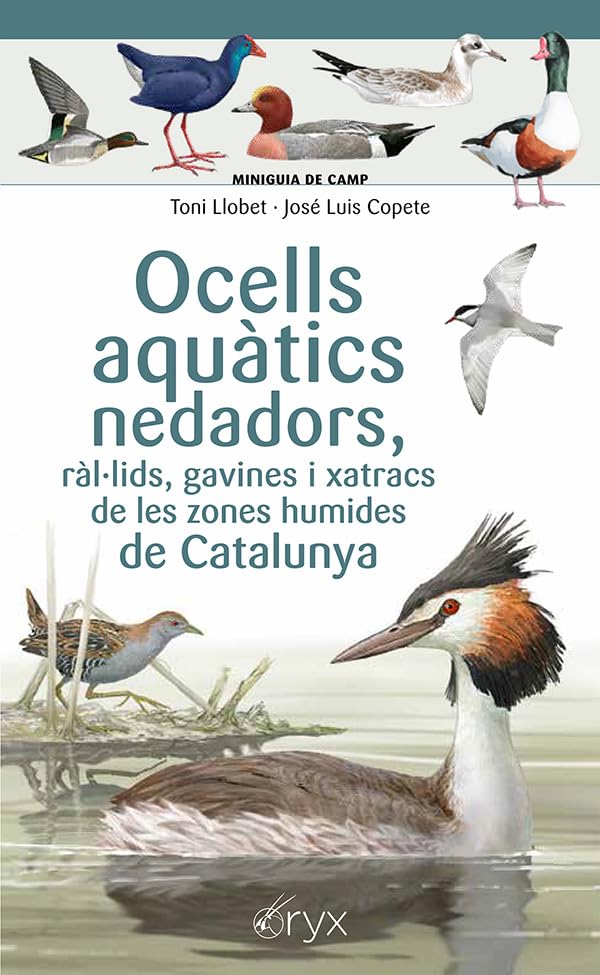 Libro: Ocells Aquatics Nedadors, Ralulids, Gavines I Xatracs De Les Zones Humides De Catalunya (Miniguia de camp)