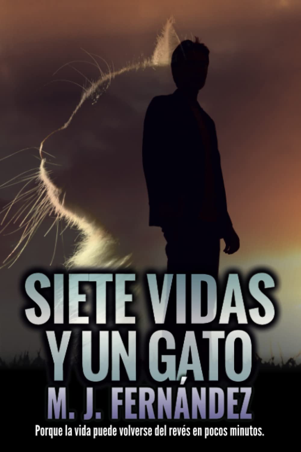 Libro: Siete vidas y un gato: (Inspector Salazar 07) Novela negra y policíaca (Serie del inspector Salazar)