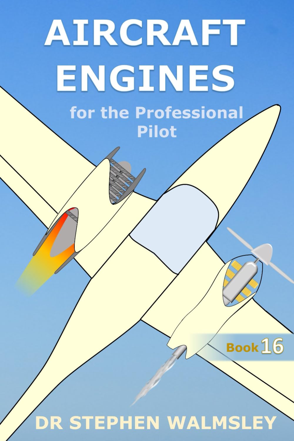 Libro: Aircraft Engines for the Professional Pilot (Aviation Books Professional Pilot Series)