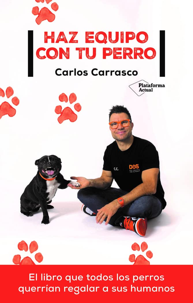 Haz equipo con tu perro (ACTUAL)