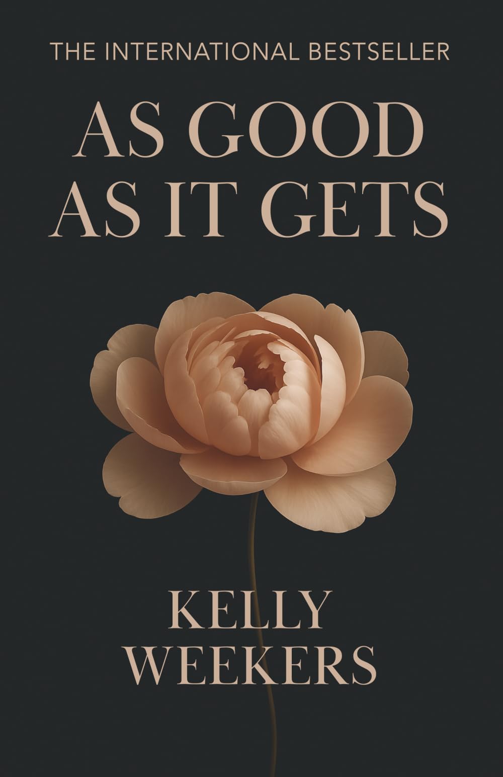 Libro: As Good As It Gets: What if the person who makes you lose it all is the one who makes you find yourself? (The Good Series)