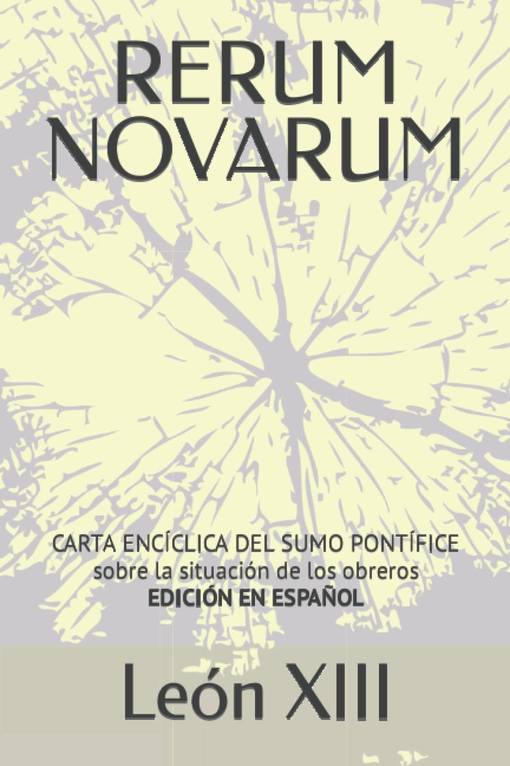 Libro: RERUM NOVARUM: Carta encíclica del sumo pontífice Leon XIII sobre la situación de los obreros - Edición en español