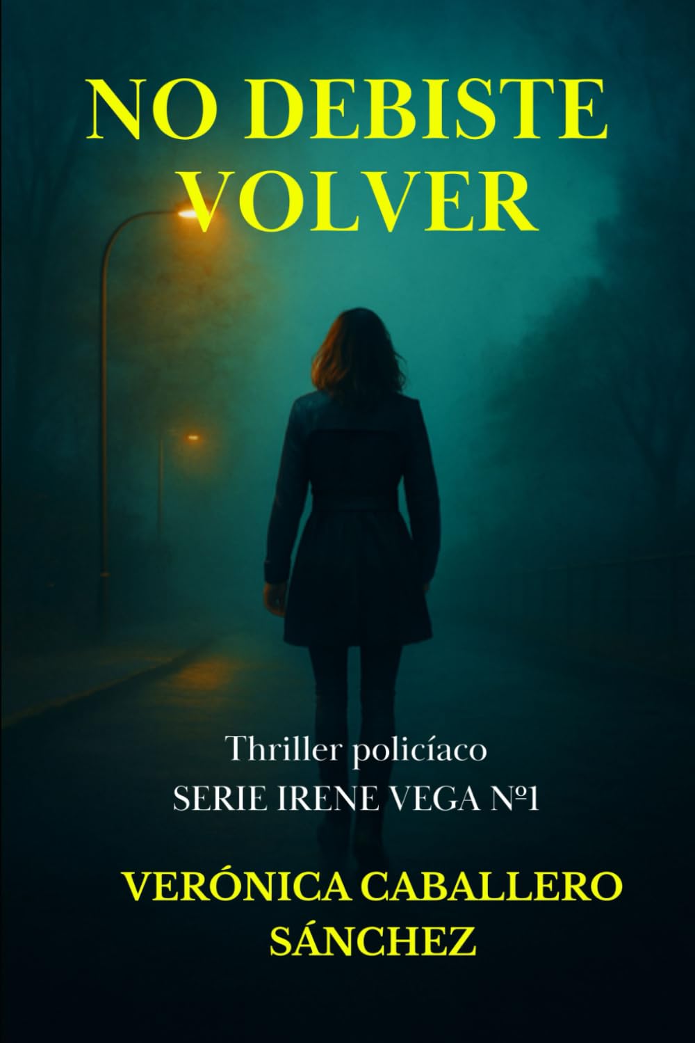Libro: No debiste volver: Thriller policíaco. Serie Irene Vega Nº1