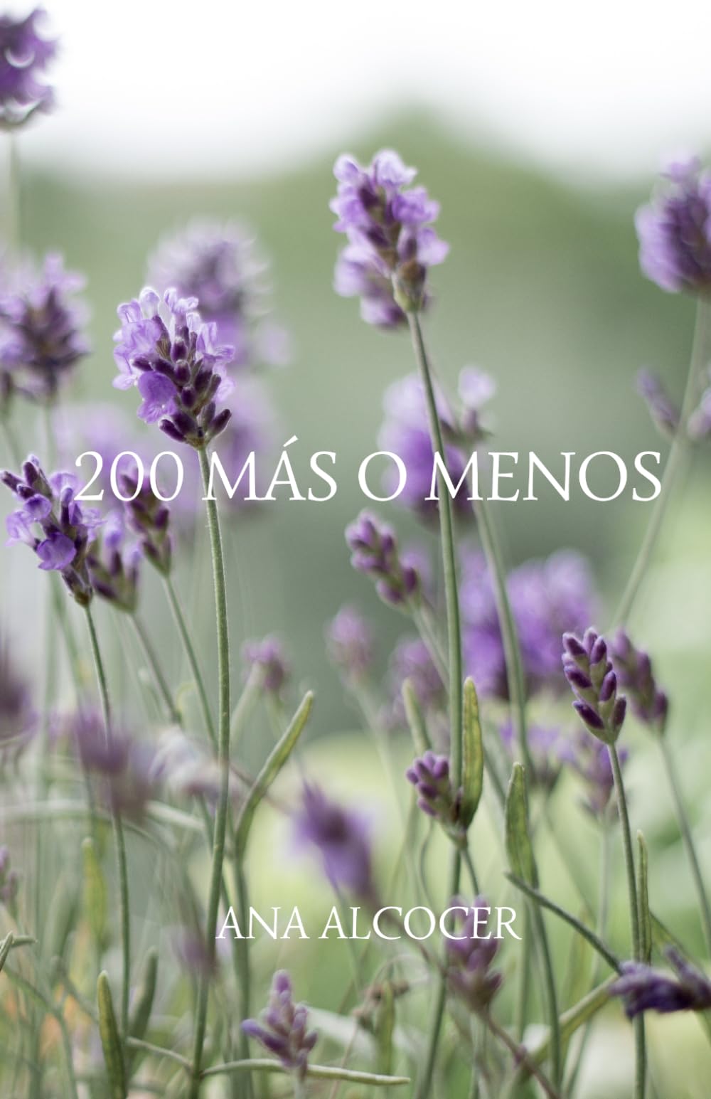Libro: 200 Más o Menos
