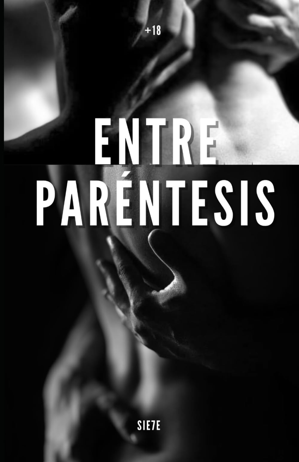 Libro: Entre paréntesis.