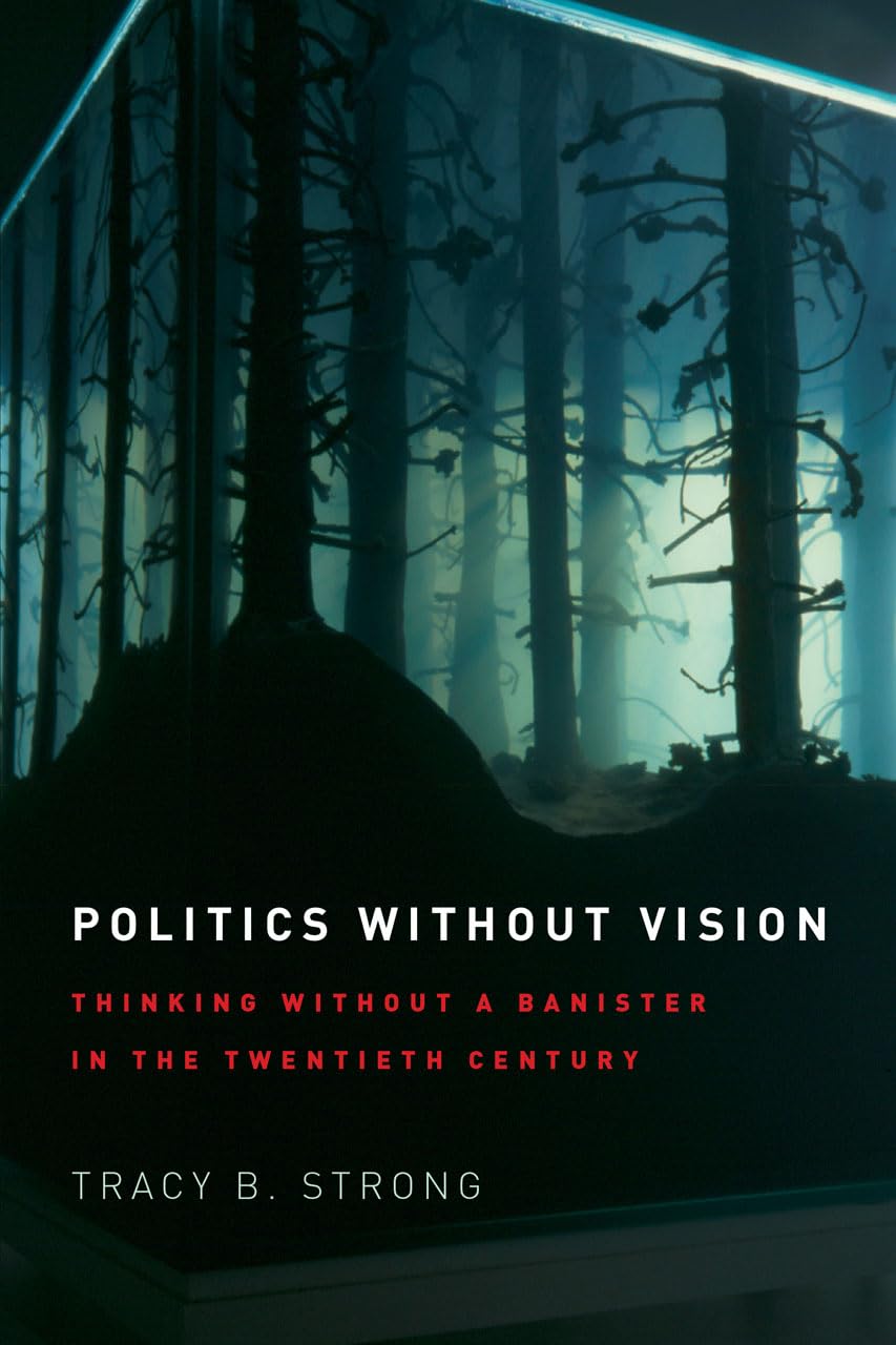 Libro: Politics without Vision: Thinking without a Banister in the Twentieth Century