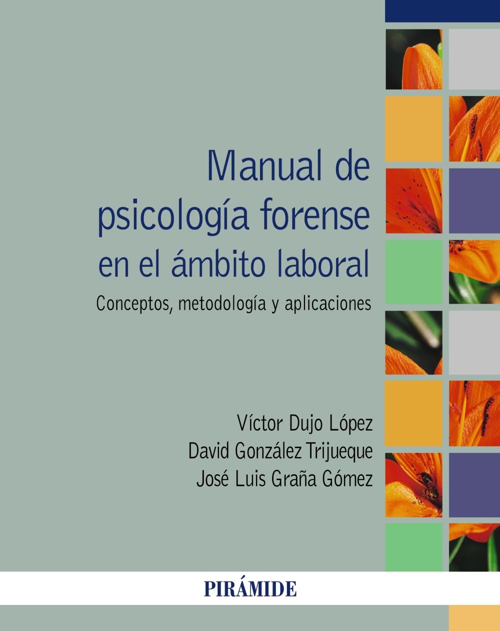 Libro: Manual de psicología forense en el ámbito laboral: Concepto, metodología y aplicaciones