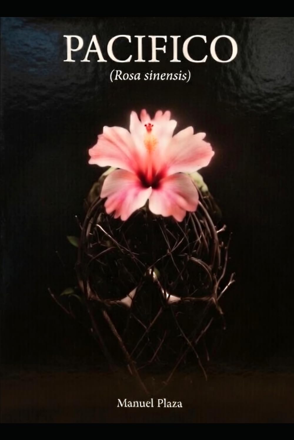 Libro: Pacífico: Rosa sinensis (Spanish Edition)