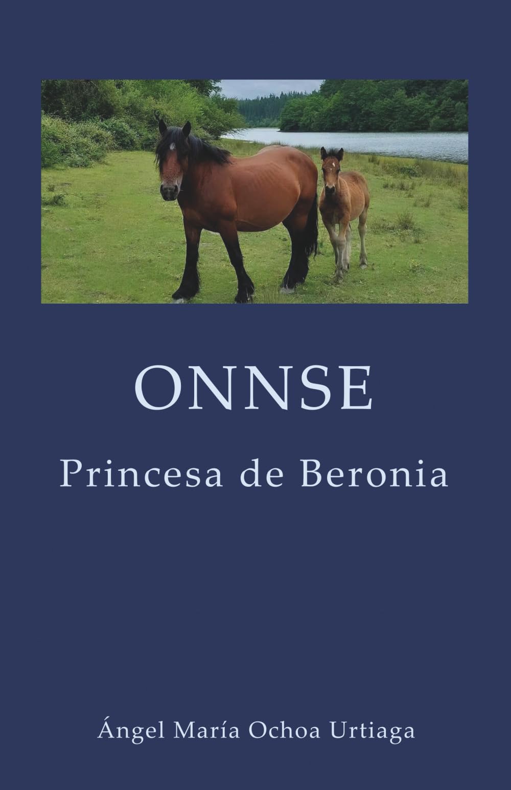 Libro: ONNSE: PRINCESA DE BERONIA