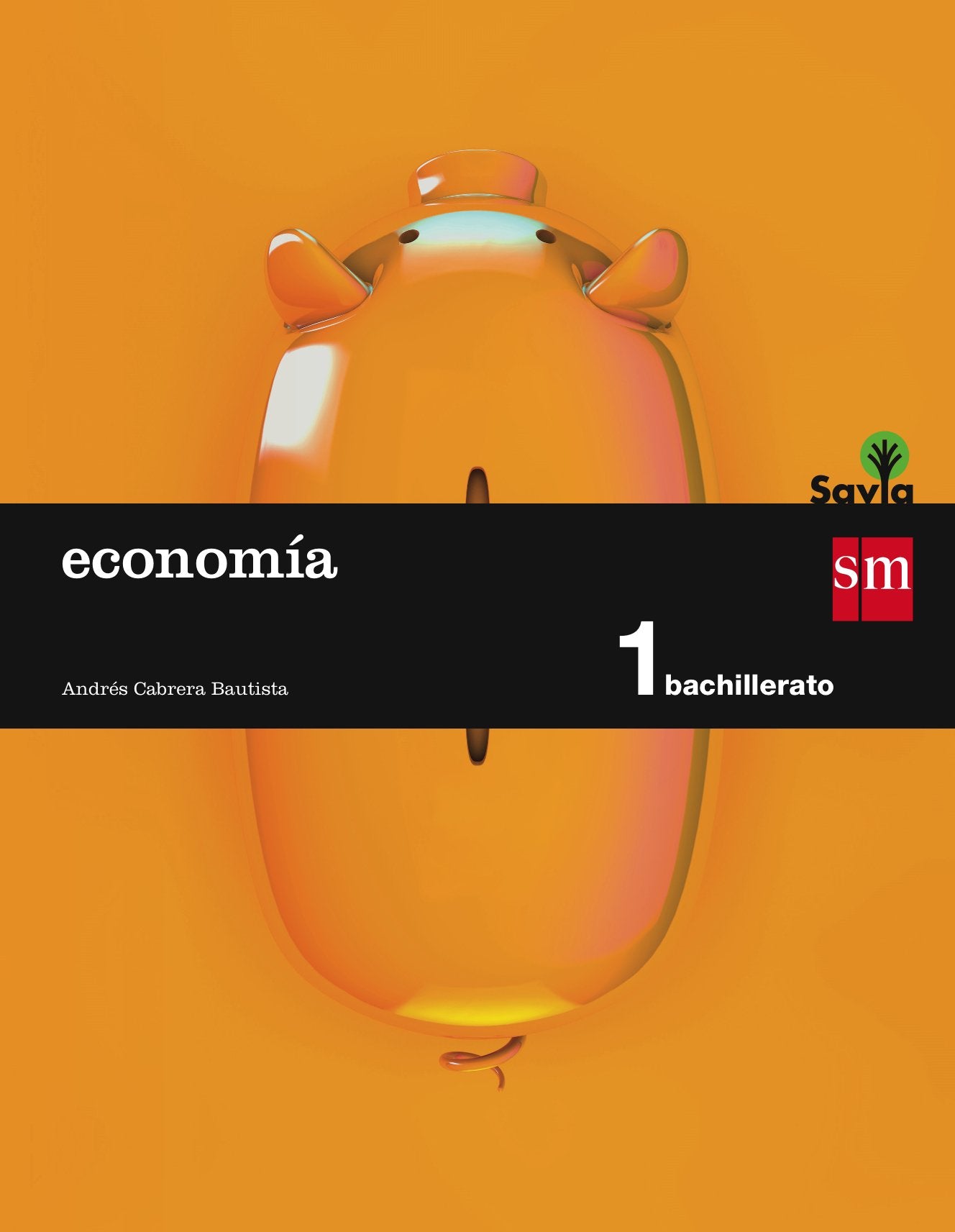 Libro: Economía. 1 Bachillerato. Savia (Spanish Edition)
