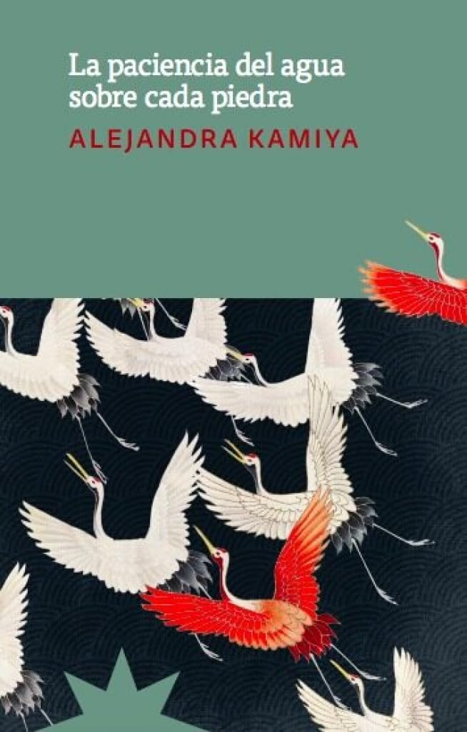 Libro: La paciencia del agua sobre cada piedra