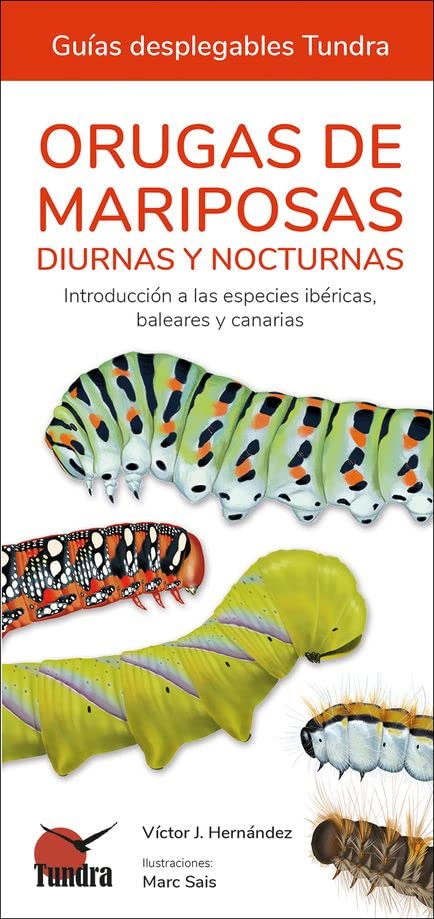 Libro: Orugas de mariposas diurnas y nocturnas